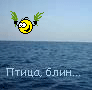 strizh